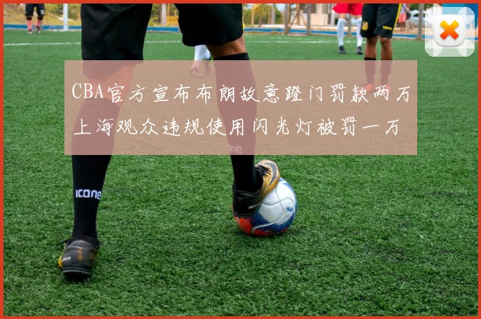 CBA官方宣布布朗故意蹬门罚款两万上海观众违规使用闪光灯被罚一万