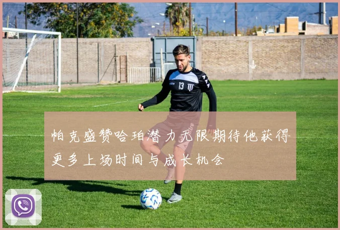 帕克盛赞哈珀潜力无限期待他获得更多上场时间与成长机会
