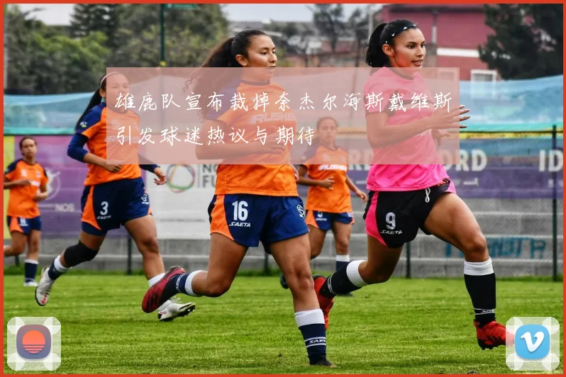 雄鹿队宣布裁掉奈杰尔海斯戴维斯引发球迷热议与期待