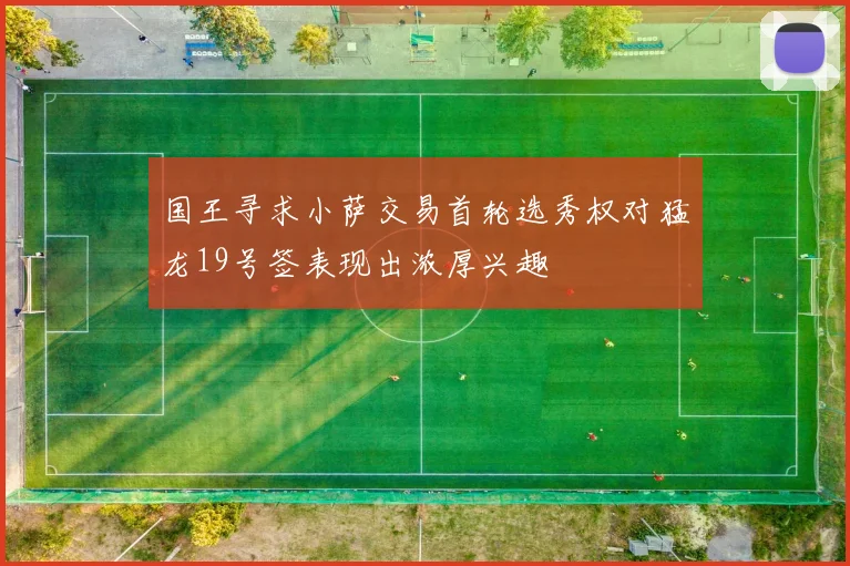 国王寻求小萨交易首轮选秀权对猛龙19号签表现出浓厚兴趣