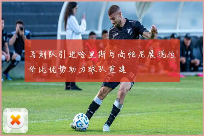 马刺队引进哈里斯与尚帕尼展现性价比优势助力球队重建